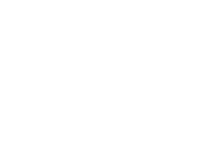 Dream Vegas