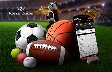 Royal Panda: Pros & Cons