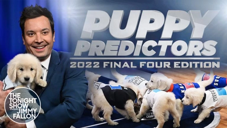 Video: Puppies Predict the 2022 Final Four Championship | The Tonight Show Starring Jimmy Fallon