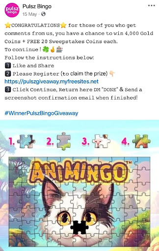 pulsz bingo social media promo 2