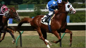 NJ Horse Betting Sites