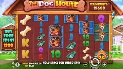 dog house megaways screenshot 2